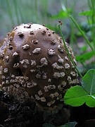 IMG_3058