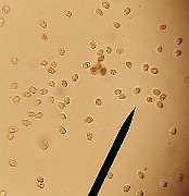 20200721_204806
