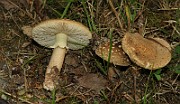 IMG_0065