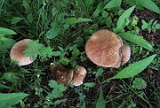 IMG_0212