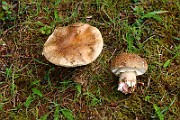 IMG_0389