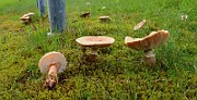 IMG_0392