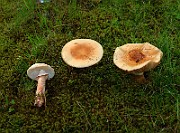 IMG_0394