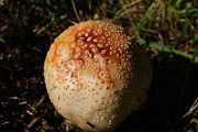 IMG_5856