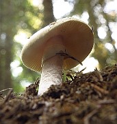 IMG_2457