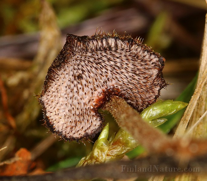IMG_0095.JPG