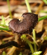 IMG_0089