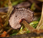 IMG_0095