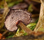 IMG_0095s