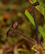 IMG_0097