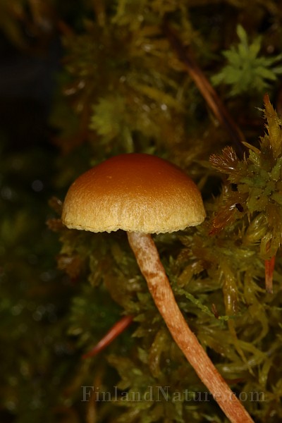 IMG_0479.JPG