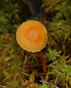 IMG_0472