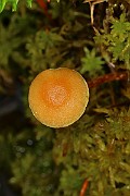 IMG_0473