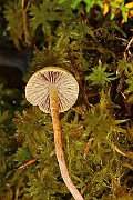 IMG_0474