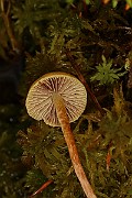 IMG_0477