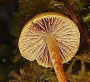 IMG_0477b