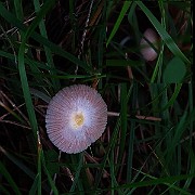 IMG_2091