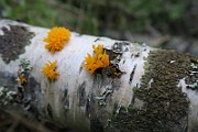 IMG_0408