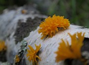 IMG_0410