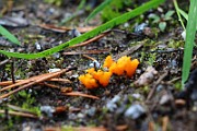 IMG_1006