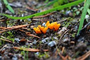 IMG_1007
