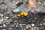 IMG_1011
