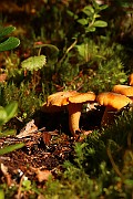 IMG_0285