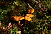 IMG_0287