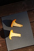 IMG_0307