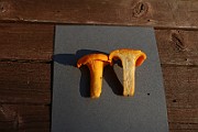 IMG_0308