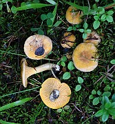 IMG_0551