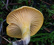 IMG_0552