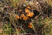IMG_5850