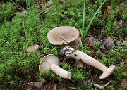 IMG_1512