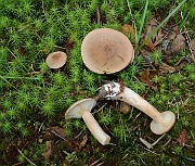 IMG_1514