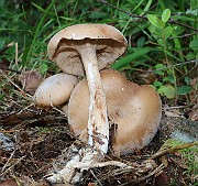 IMG_1554
