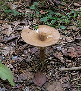 IMG_0076
