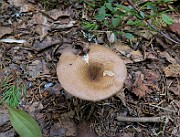 IMG_0077