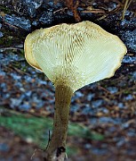 IMG_2209
