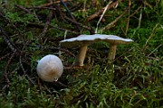 IMG_9309