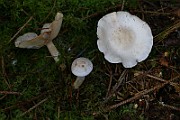 IMG_9314