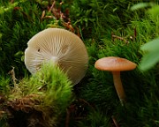 IMG_6140