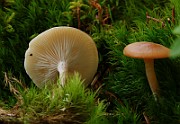 IMG_6142