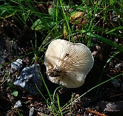 IMG_1300