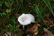 IMG_2264