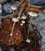 IMG_1138