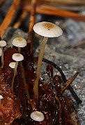 IMG_1139