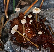 IMG_1140