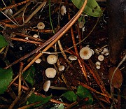 IMG_1143