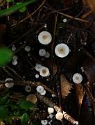 IMG_1320